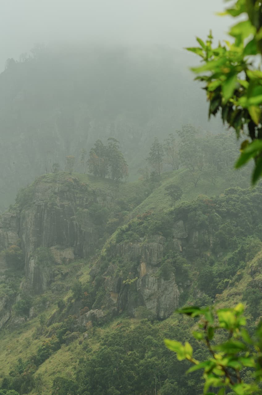 Превью Sri Lanka 2022